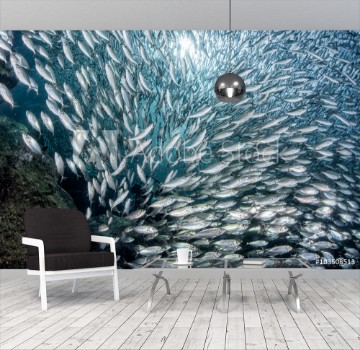 Picture of Sardine school of fish underwater